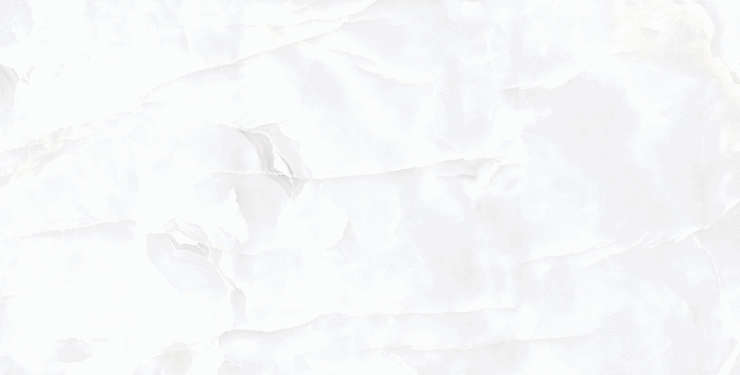 Реалистик Coin White Porsh Carving 60x120