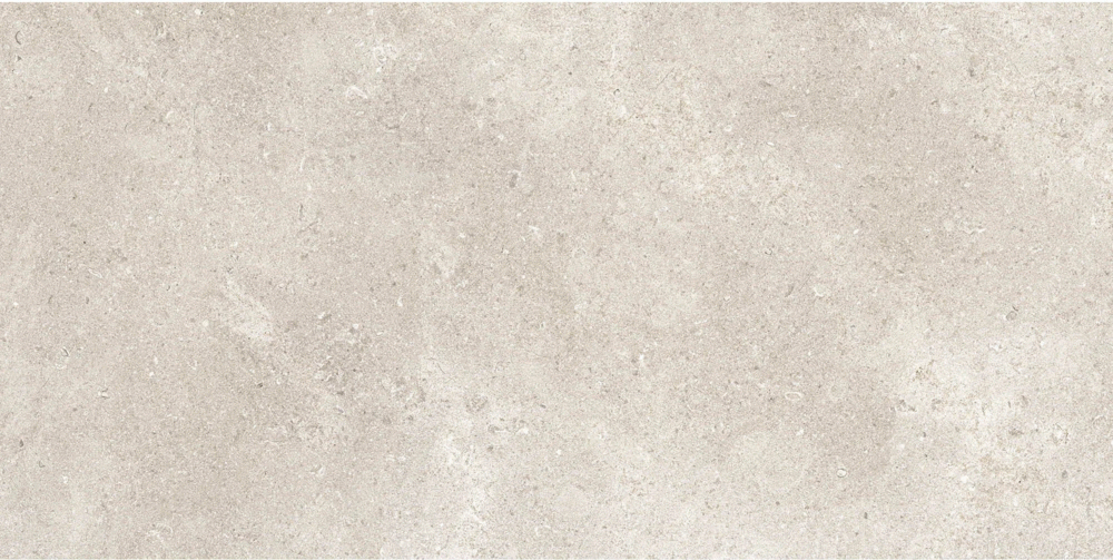 RB91 Champagne Matt-Pro Rett 60x120 (1200x600)