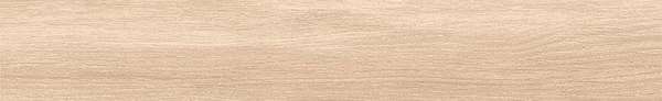 Sajonia 10x60 (600x100)