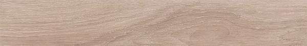 Selva 10x60 (600x100)