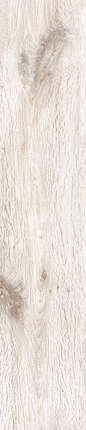 Rondine Group Cortina Ivory 24x120