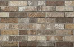 Brick Multicolor (250x60)