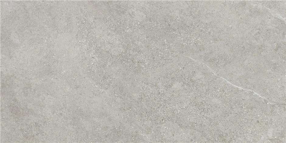 Grey Mt Rect 60x120 (1200x600)