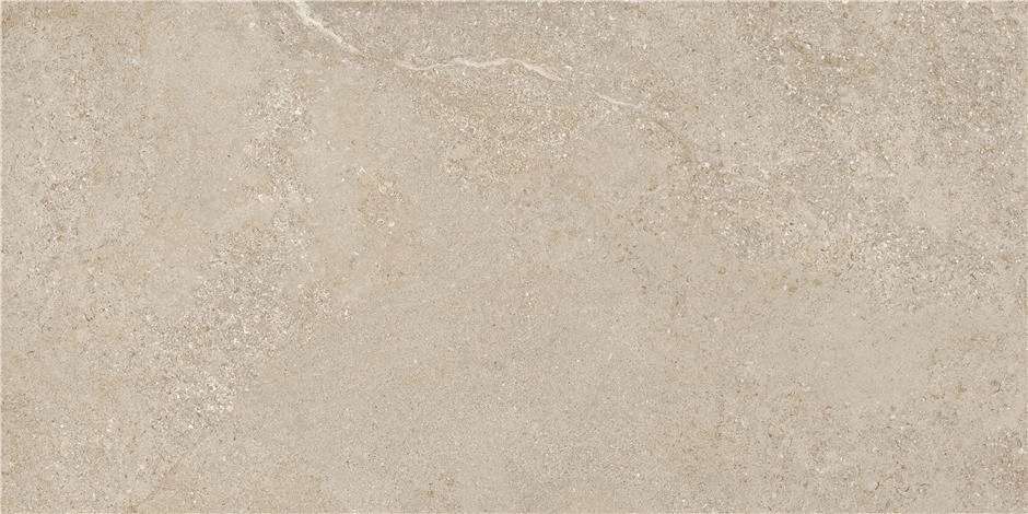 Natural Mt Rect 60x120 (1200x600)