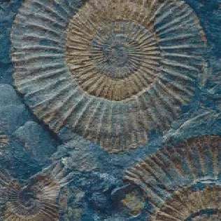 Serapool Natural Series Fossil Mix 33x33 -12