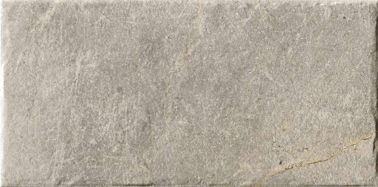 Серениссима Magistra Fior Di Bosco 20х40