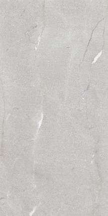 Seron Vicenza Silver (Shapetouch) 60x120