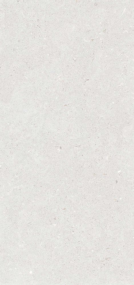 Stx Fossil Bianco 3pc 59.8119.8 (598x1198)