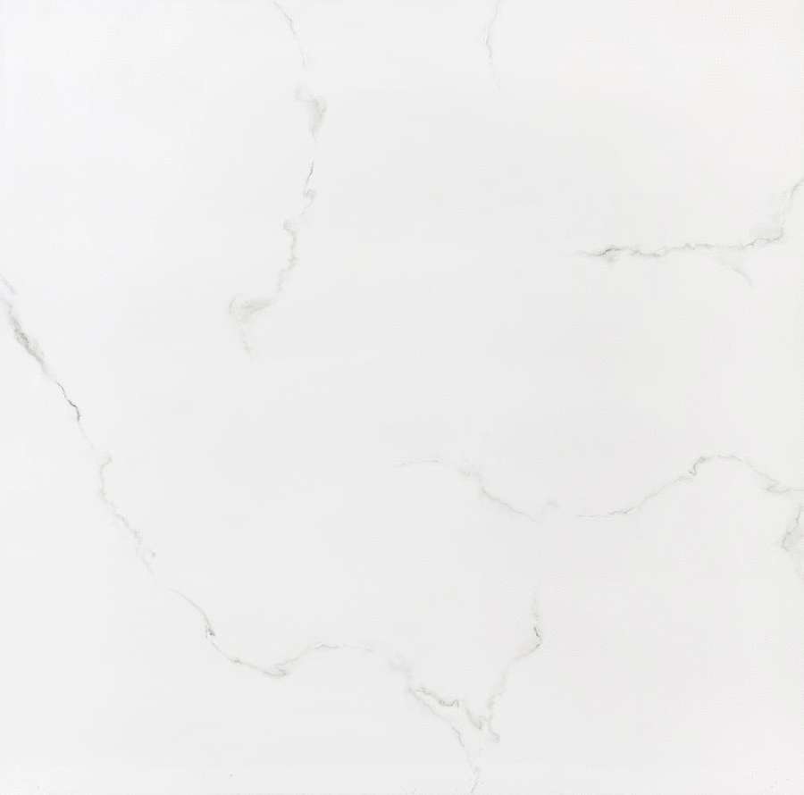 Sina Tile Versace White Polished 2881 -3