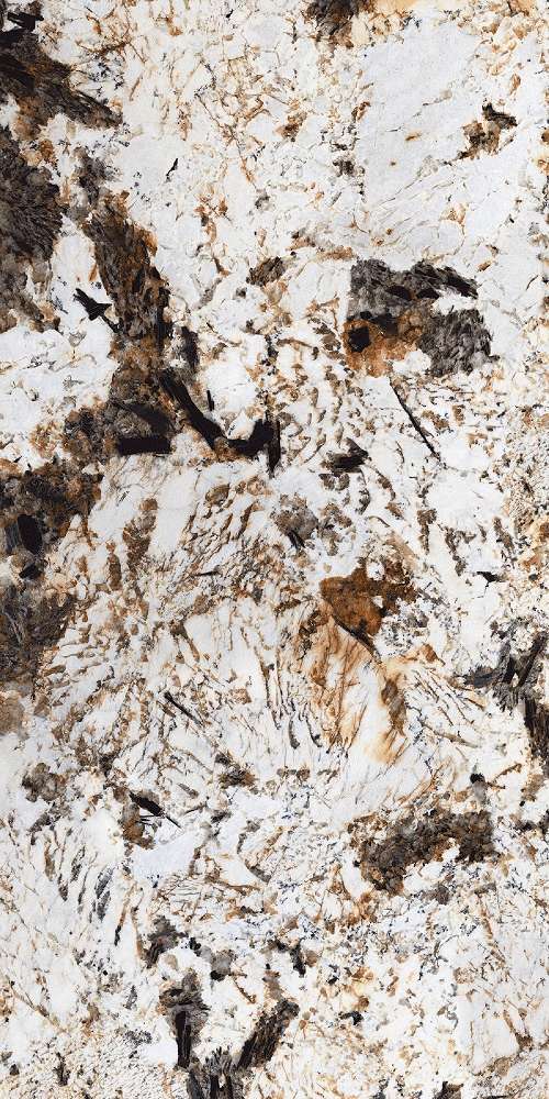 Regal Brazilian White Двойная Глазурь Глянцевый (800x1600)