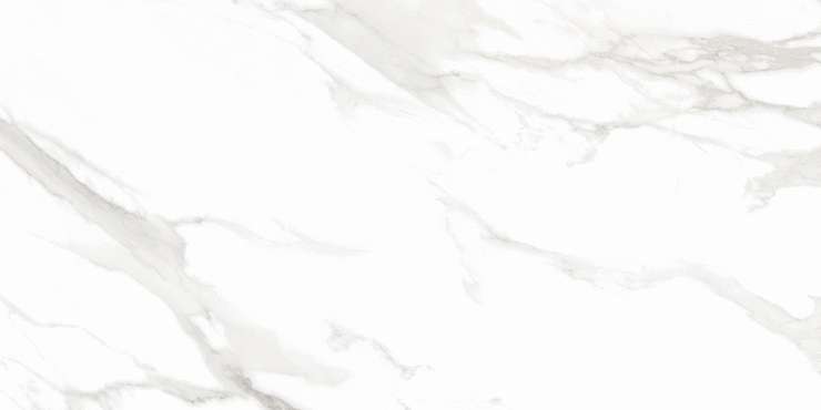 Staro Palacio  Calacatta Super White 60x120 Polished