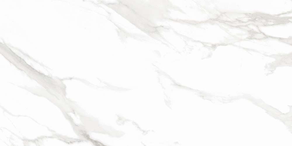 Calacatta Super White 60x120 Polished (1200x600)