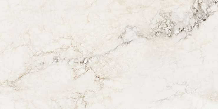 Staro Palacio  Brecha Crema 60x120 Polished