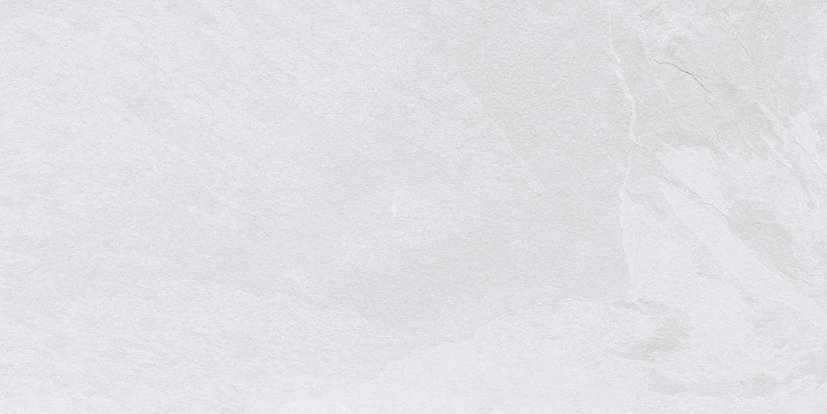 Slate Bianco 60x120 Matt (1200x600)
