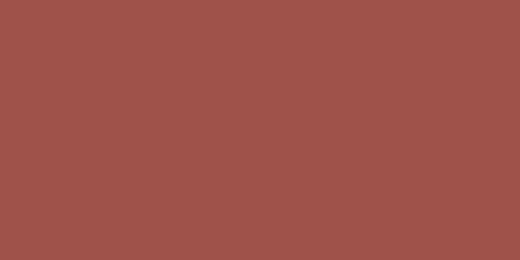 Старо Slim Monocolors Elite Red Wine 60x120 5мм Matt