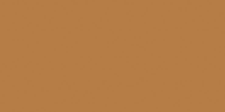 Старо Slim Monocolors Elite Ocre 60x120 5мм Matt