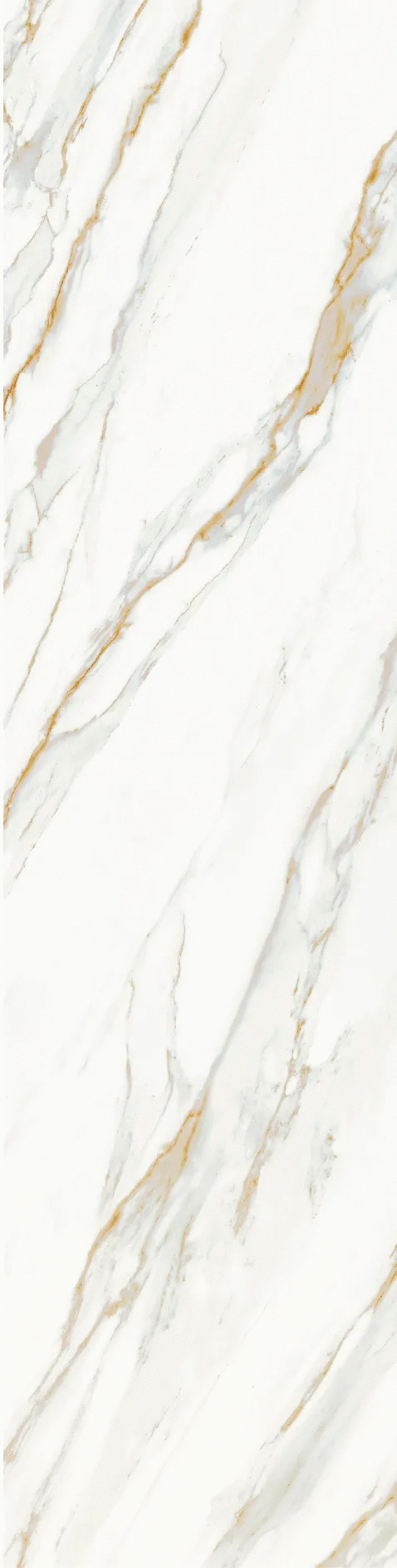 Calacata Gold Honed 800х3200х12 (800x3200)