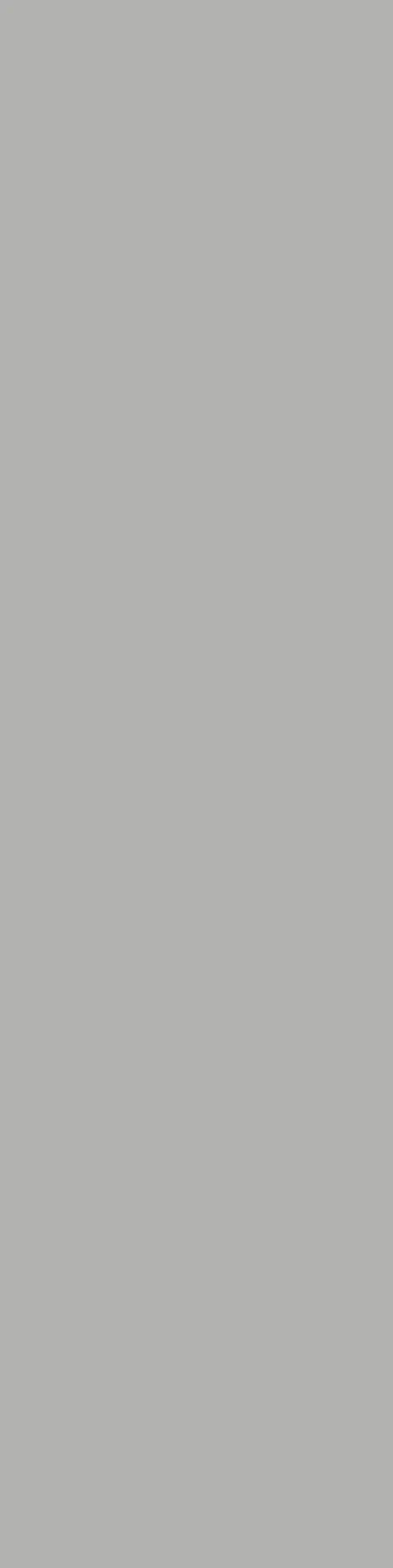 Mono Grey Matt 800х3200х12 (800x3200)
