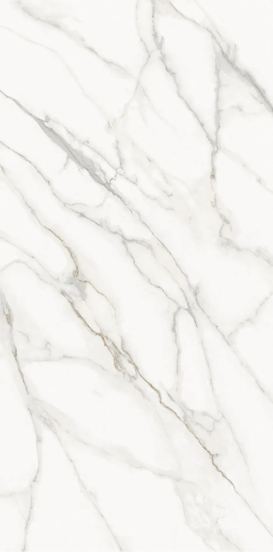 Calacatta Supreme Honed 1600х3200х12 (1600x3200)