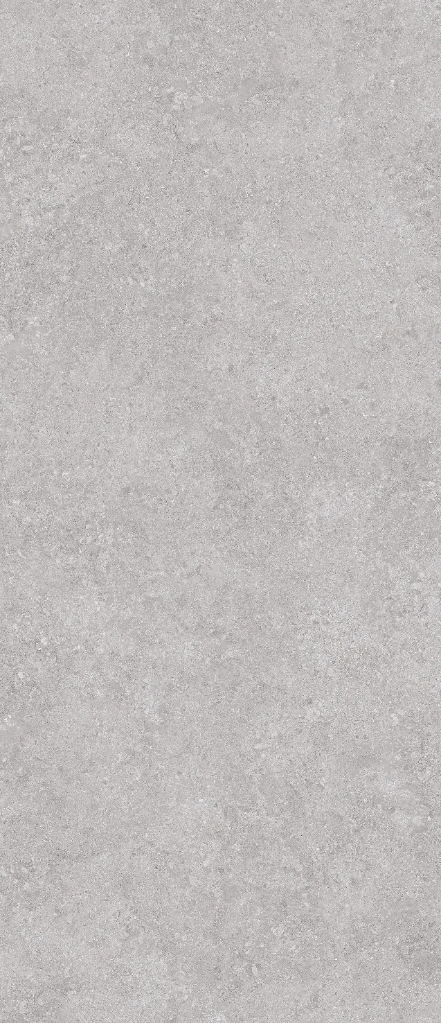 Декор керамогранит StaroSlabs Onega Grey Xylotech Matt 2780х1200х6 (1200x2780)