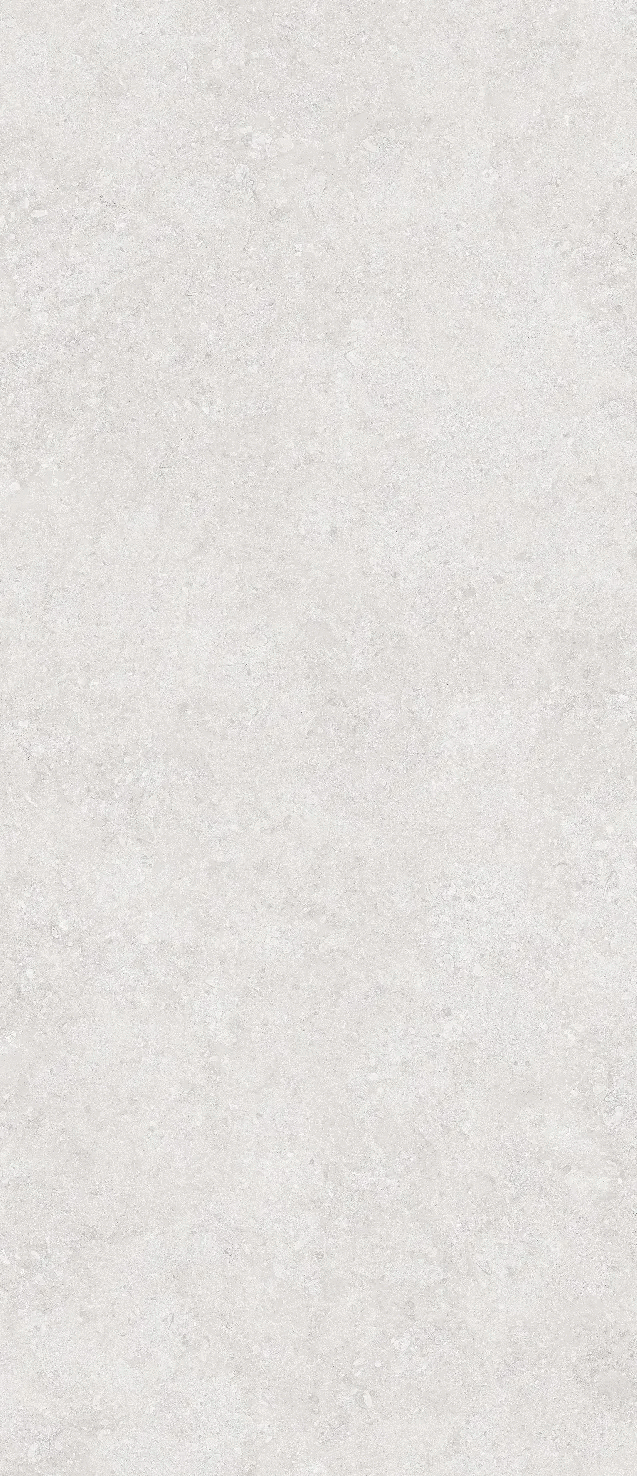 Декор керамогранит StaroSlabs Onega Silver Xylotech Matt 2780х1200х6 (1200x2780)