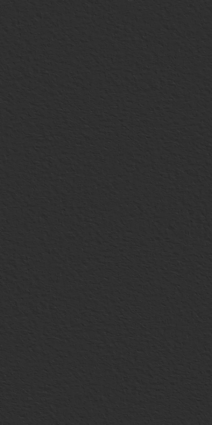 Декор керамогранит StaroSlabs Black Texture 1600х3200х12 (1600x3200)