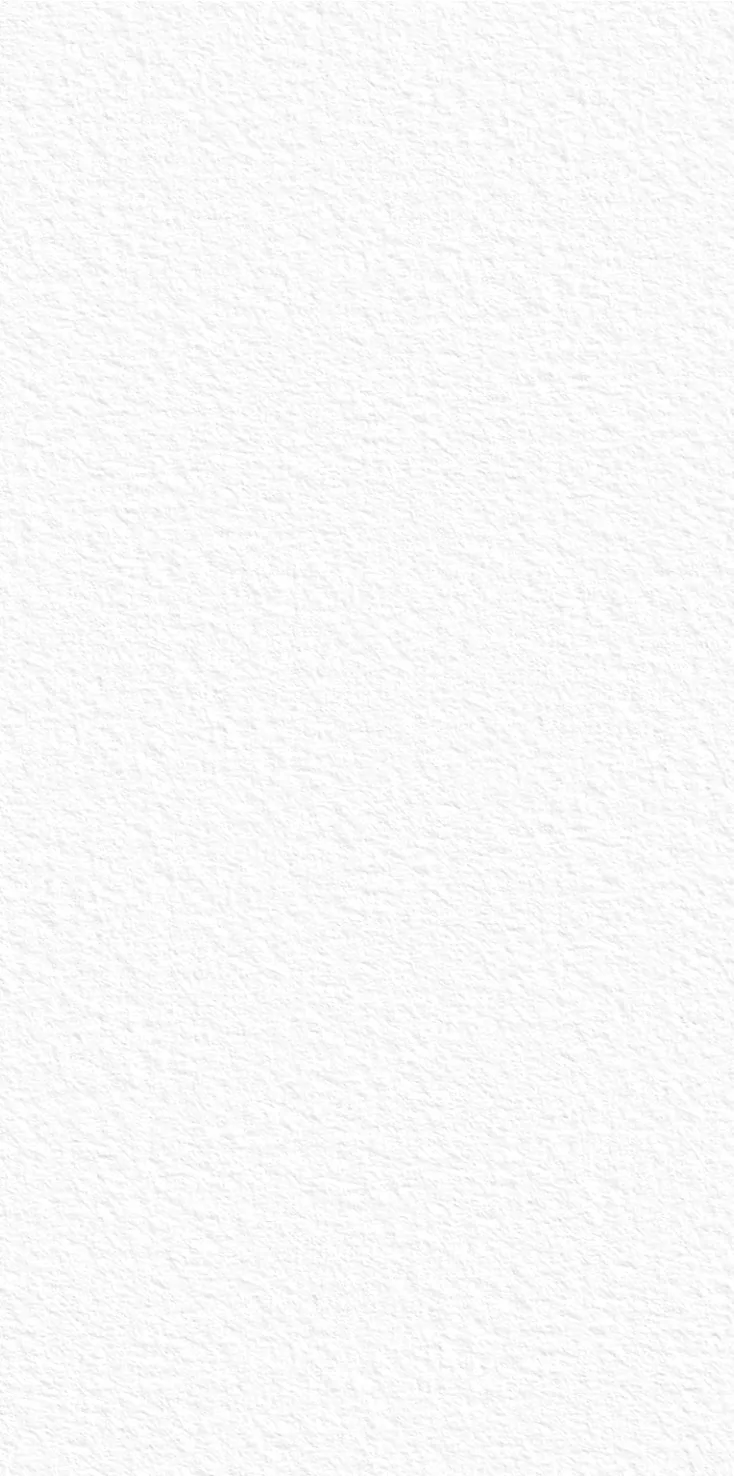 Декор керамогранит StaroSlabs White Texture 1600х3200х12 (1600x3200)