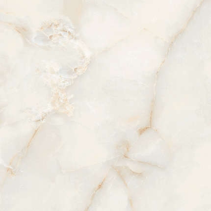 StaroSlabs Polished Ostra Bianco Elegance 120x120