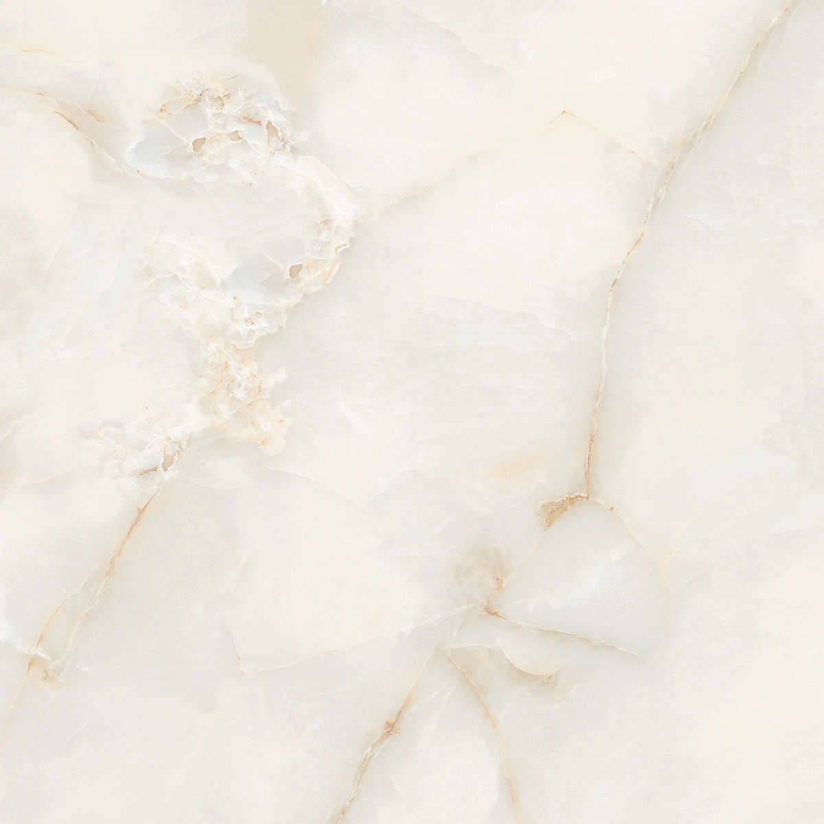 Ostra Bianco Elegance 120x120 (1200x1200)