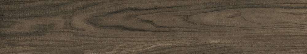 Brown 20x120 Matt (1200x200)