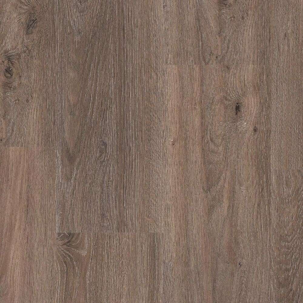 Brownie Oak (1220x201)