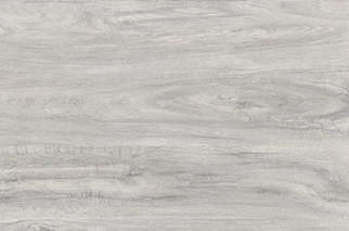 Sicomoro grigio 7MFWG69 (920x610)