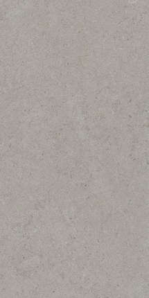 Tau Calcare Silver 60x120