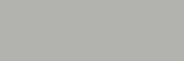 Hiru Silver Rec 16.3x51.7 (517x163)
