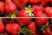 Strawberry 2030 (300x200)