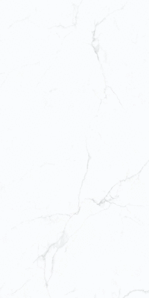 Террамик Тайлс Frost Whisper Карвинг матовый 60x120