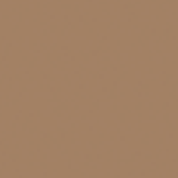 6604/1Ch Caramel Color 04 14.6х14.6 (146x146)