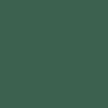 6618/1Ch Dark Green Color 18 14.6х14.6 (146x146)