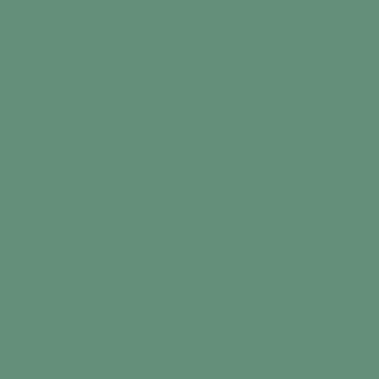 6628/1Ch Light Green Color 28 14.6х14.6 (146x146)