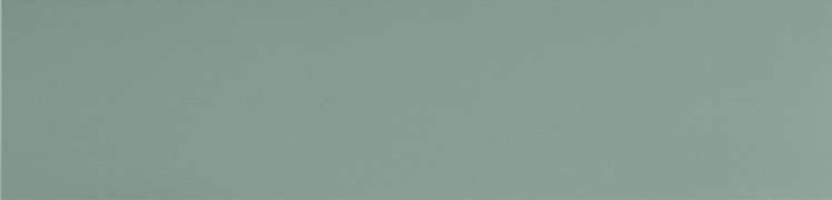 UF029 Керамогранит Уральский Гранит (мурена моноколор) матовый ректифицированный 120х29,5 (1200x295)