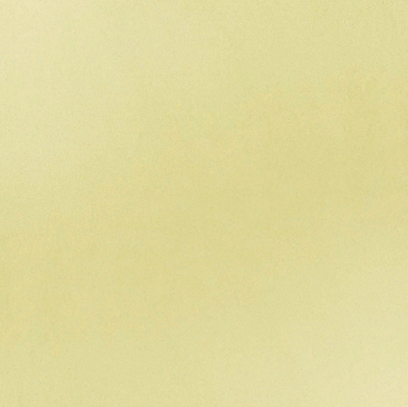 Светло-желтый Матовый (600x600)