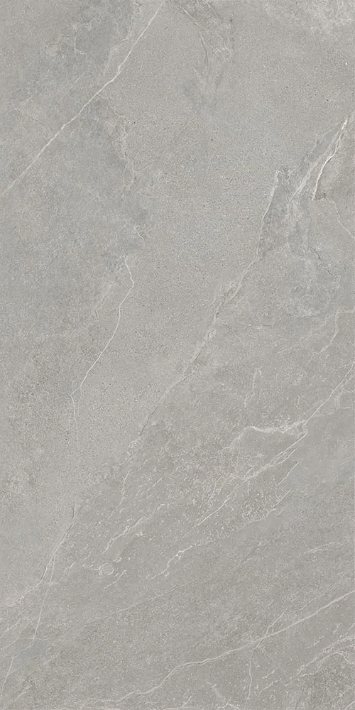 Серый Матовый R10A Ректификат 9мм 60х120 (600x1200)