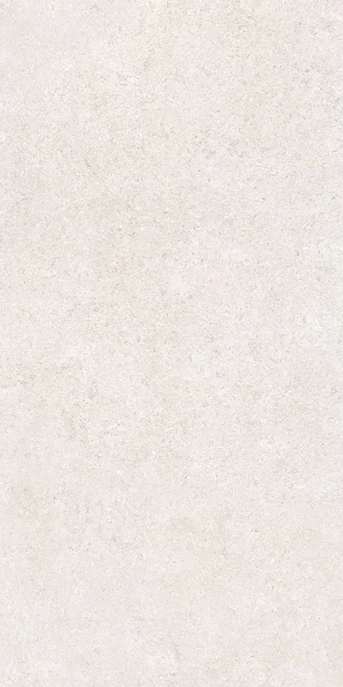 Белый Матовый R10A Ректификат 9мм 60х120 (600x1200)