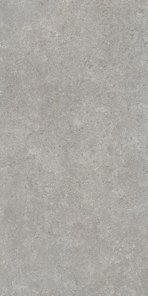 Серый Матовый R10A Ректификат 9мм 60х120 (600x1200)
