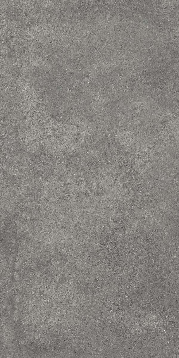 Темно-серый Матовый R10A Ректификат 60x120 (600x1200)