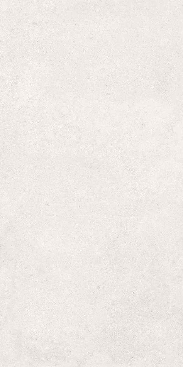 Белый Матовый R10A Ректификат 60x120 (600x1200)