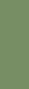 Zepto Verde 4.2x13 (42x130)
