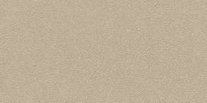 Duo-R Beige R12 29.3x59.3 (593x293)