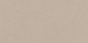 Duo-R Greige R12 29.3x59.3 (593x293)