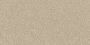 Duo Beige R12 30x60 (600x300)
